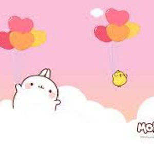 Meet your Posher, Yu pei